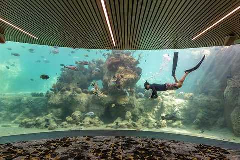 Whitehaven Beach And Daydream Island Cruise - Inverell Accommodation 4