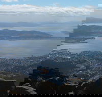 Mt Wellington Tour and MONA Admission - Inverell Accommodation
