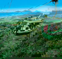 Kuranda Rainforest station Scenic railway and Skyrail tour - Inverell Accommodation