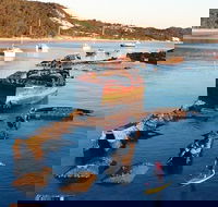 Adventure Moreton Island Wrecks Adventure Package - Inverell Accommodation