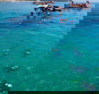Adventure Moreton Island Scuba Dive Tour - Inverell Accommodation