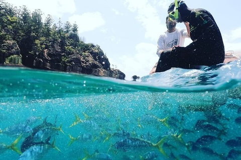 2 Night Small Group Whitsundays Sailing Adventure Aboard Mandrake - Inverell Accommodation 5