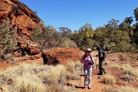 Palm Valley And Hermannsburg 1 Day 4WD Tour - Inverell Accommodation 1
