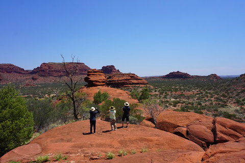 Palm Valley And Hermannsburg 1 Day 4WD Tour - Inverell Accommodation 2