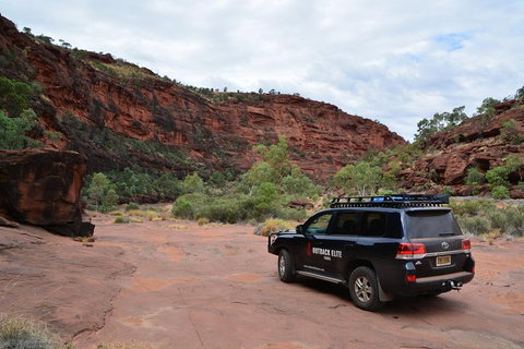 Palm Valley And Hermannsburg 1 Day 4WD Tour - Inverell Accommodation 5