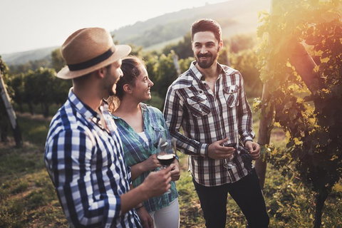 Full Day Mount Tamborine Winery Tour From Gold Coast - Inverell Accommodation 5