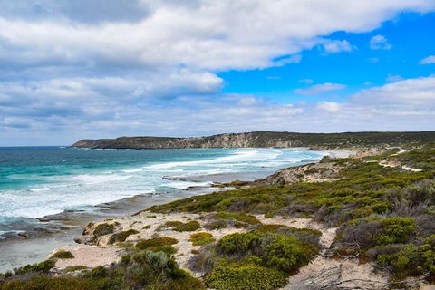 Kangaroo Island Luxury Small Group 'East End Explorer' Full Day Tour - Inverell Accommodation 0