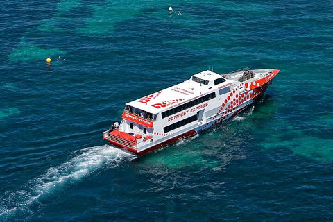Discover Rottnest With Ferry & Bus Tour From Perth Or Fremantle - Inverell Accommodation 3