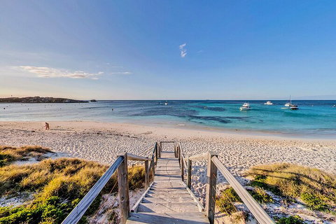 Discover Rottnest With Ferry & Bus Tour From Perth Or Fremantle - Inverell Accommodation 4