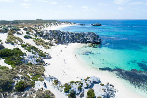 Discover Rottnest With Ferry & Bus Tour From Perth Or Fremantle - Inverell Accommodation 5