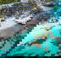 Rottnest Island Round-Trip Ferry from Perth or Fremantle