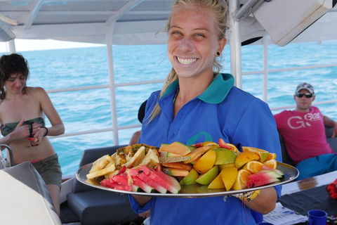 Ocean Free Green Island & Great Barrier Reef Snorkel Cruise, Cairns 25 Guests - Inverell Accommodation 1