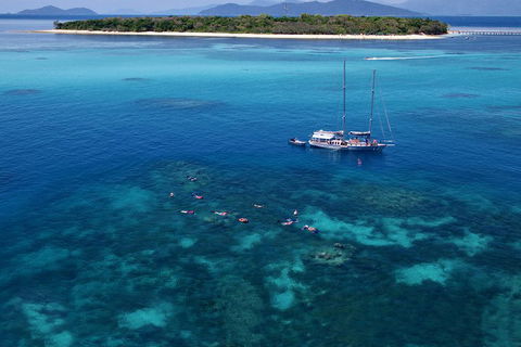 Ocean Free Green Island & Great Barrier Reef Snorkel Cruise, Cairns 25 Guests - Inverell Accommodation 2