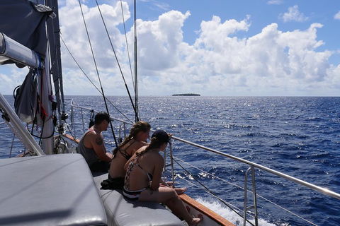 Ocean Free Green Island & Great Barrier Reef Snorkel Cruise, Cairns 25 Guests - Inverell Accommodation 4