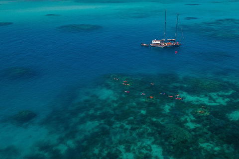 Ocean Free Green Island & Great Barrier Reef Snorkel Cruise, Cairns 25 Guests - Inverell Accommodation 5