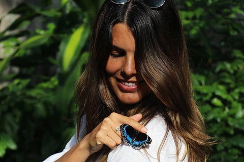 Australian Butterfly Sanctuary - Inverell Accommodation 2