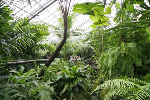 Australian Butterfly Sanctuary - Inverell Accommodation 3