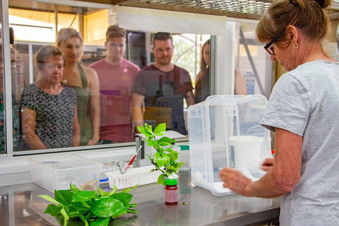 Australian Butterfly Sanctuary - Inverell Accommodation 5