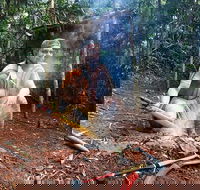 Kuranda Highlights including Rainforestation Aboriginal Culture and Wildlife - Inverell Accommodation