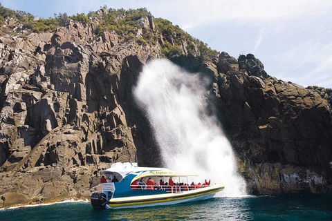 Full-Day Bruny Island Cruises Day Tour From Hobart - Inverell Accommodation 4