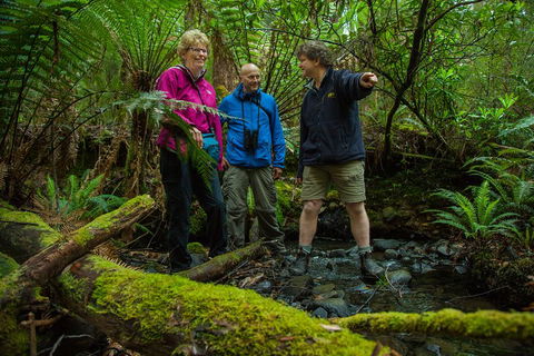 Bruny Island Traveller - Gourmet Tasting And Sightseeing Day Trip From Hobart - Inverell Accommodation 1