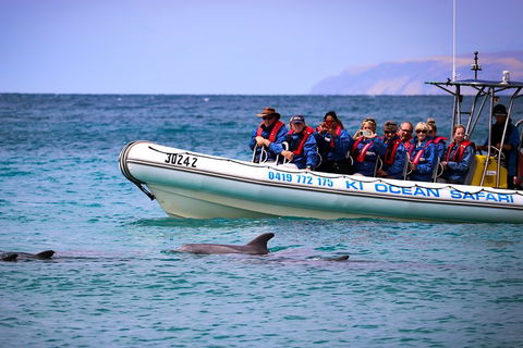 Kangaroo Island 75-Minute Ocean Safari - Inverell Accommodation 4