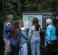Sunshine Coast Hinterland and Noosa Day Trip from Brisbane Including Eumundi Markets and Ginger Factory - Inverell Accommodation