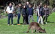 2-Day Kangaroo Island 4WD Small-Group Tour From Adelaide - thumb 1