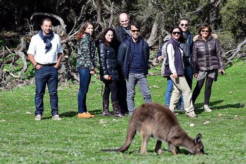 2-Day Kangaroo Island 4WD Small-Group Tour From Adelaide - Inverell Accommodation 1