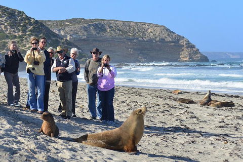 2-Day Kangaroo Island 4WD Small-Group Tour From Adelaide - Inverell Accommodation 3