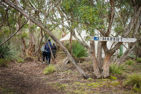 2-Day Kangaroo Island 4WD Small-Group Tour From Adelaide - Inverell Accommodation 5