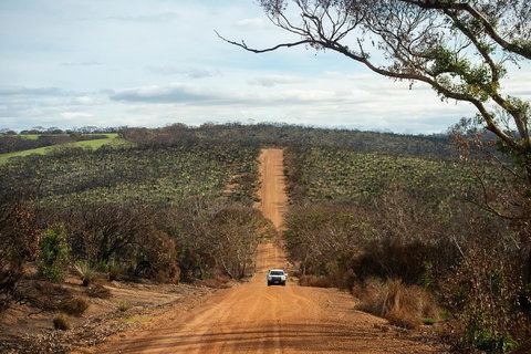 NEW TOUR - Kangaroo Island Road To Recovery Tour (1 Day/1 Night) - Inverell Accommodation 2