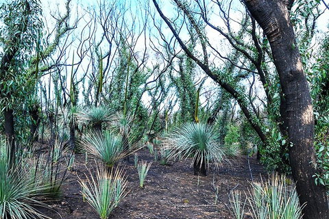 NEW TOUR - Kangaroo Island Road To Recovery Tour (1 Day/1 Night) - Inverell Accommodation 3