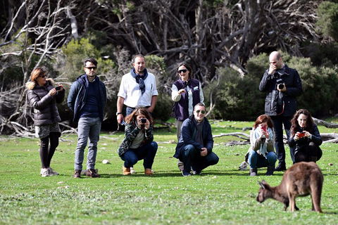 Small-Group Kangaroo Island 4WD Tour From Adelaide - Inverell Accommodation 2