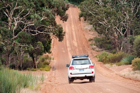 Small-Group Kangaroo Island 4WD Tour From Adelaide - Inverell Accommodation 3