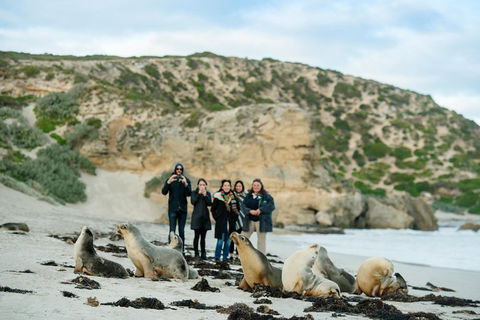 Small-Group Kangaroo Island 4WD Tour From Adelaide - Inverell Accommodation 4