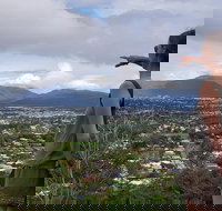 Cairns Aquarium and small group City Sightseeing Tour - Inverell Accommodation