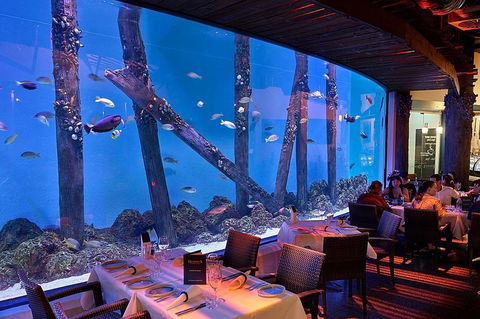 Cairns Aquarium And Small Group City Sightseeing Tour - Inverell Accommodation 4