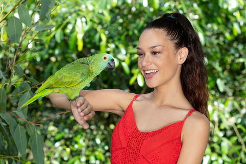 Kuranda Wildlife Experience Three Attraction Pass - Inverell Accommodation 1