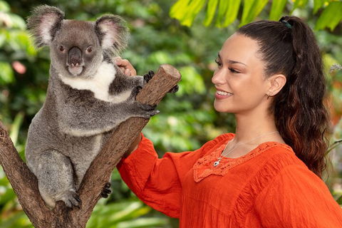 Kuranda Wildlife Experience Three Attraction Pass - Inverell Accommodation 4
