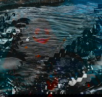 Cairns Aquarium Dive with the Sharks - Inverell Accommodation