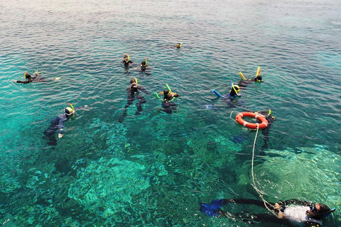 Seastar Luxury Outer Great Barrier Reef Island And Reef Tour From Cairns - Inverell Accommodation 2