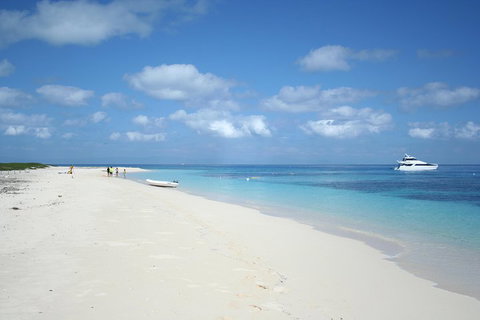 Seastar Luxury Outer Great Barrier Reef Island And Reef Tour From Cairns - Inverell Accommodation 3