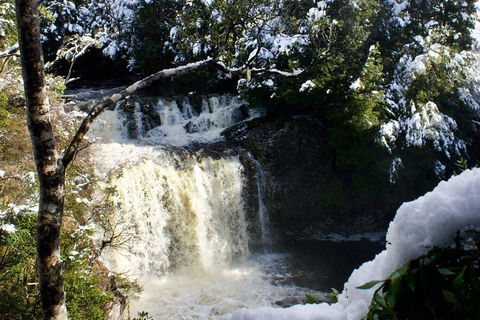 Cradle Mountain Day Tour From Launceston Including Lunch - Inverell Accommodation 0