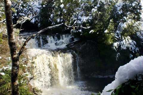 Cradle Mountain Park Explorer Guided Tour - Inverell Accommodation 4