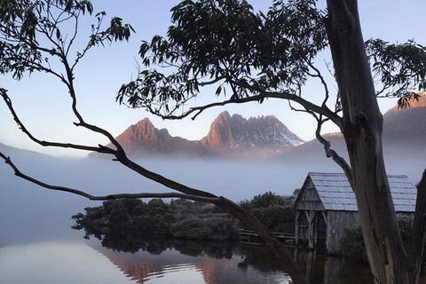 Cradle Mountain Park Explorer Guided Tour - Inverell Accommodation 5