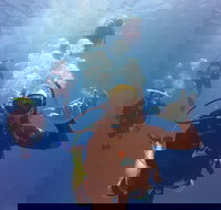 12-Day Great Barrier Reef Marine Conservation Program from Cairns - Inverell Accommodation