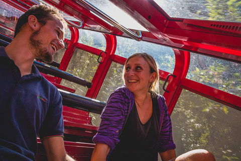 Blue Mountains Hop-on Hop-off Tour With Optional Scenic World Rides - Inverell Accommodation 5
