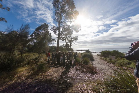 Bruny Island Day Tour, Includes Lunch And Exclusive Lighthouse Tour - Inverell Accommodation 5