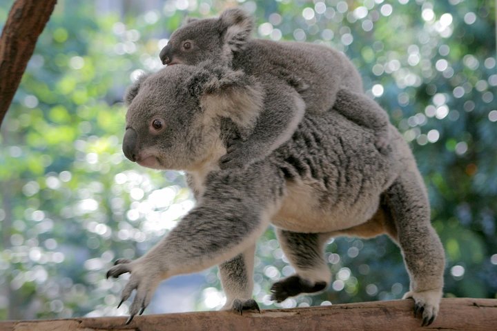Brisbane QLD Inverell Accommodation